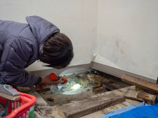Best Commercial Mold Inspection  in Claypool, AZ