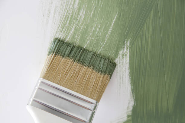 Mold Remediation for Vacation Homes in Claypool, AZ