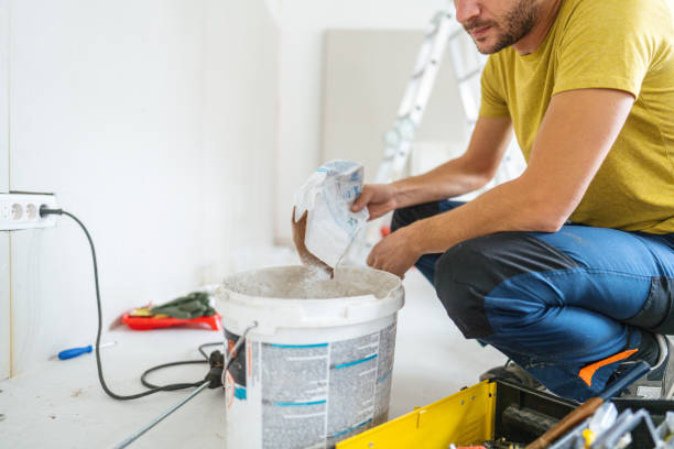 Best Black Mold Removal  in Claypool, AZ